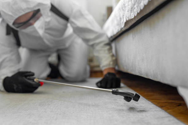 Professional Bed Bug Control technician working in Helena, AL